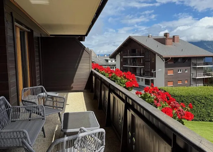 Cosy De La Moubra * 克莱恩 蒙塔纳