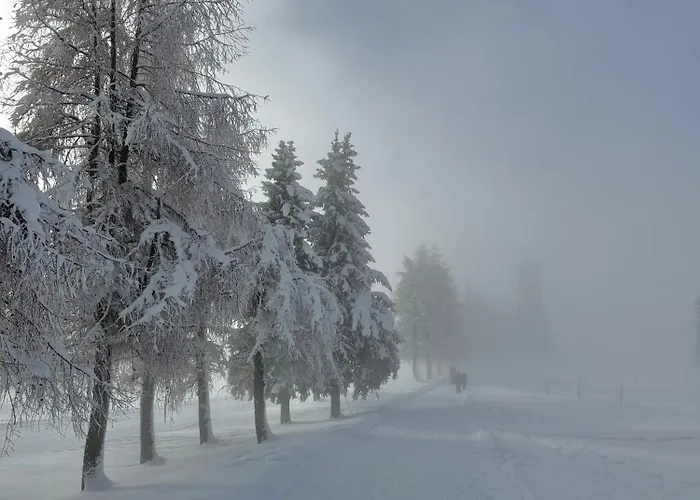 公寓 Cosy De La Moubra *