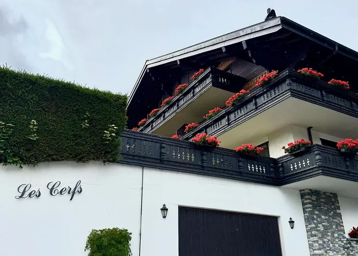 Cosy De La Moubra Daire